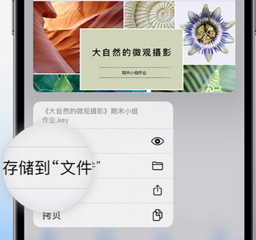 柳州apple维修中心分享iPhone文件应用中存储和找到下载文件