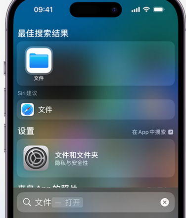 柳州apple维修中心分享iPhone文件应用中存储和找到下载文件 