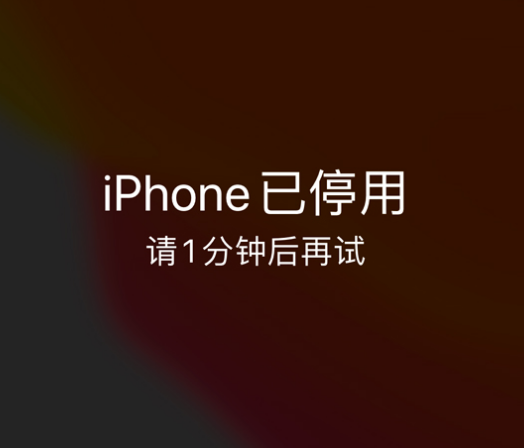 柳州苹果手机维修分享:iPhone 显示“不可用”或“已停用”怎么办？还能保留数据吗？ 