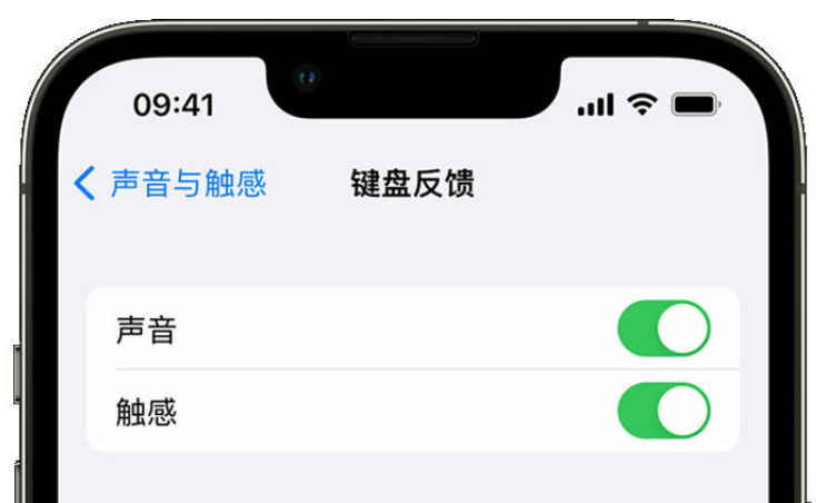 柳州苹果手机维修分享iPhone 14触感键盘使用方法 