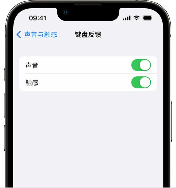 柳州苹果14维修店分享如何在 iPhone 14 机型中使用触感键盘 