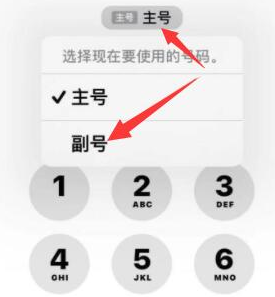 柳州苹果14维修店分享iPhone 14 Pro Max使用副卡打电话的方法 