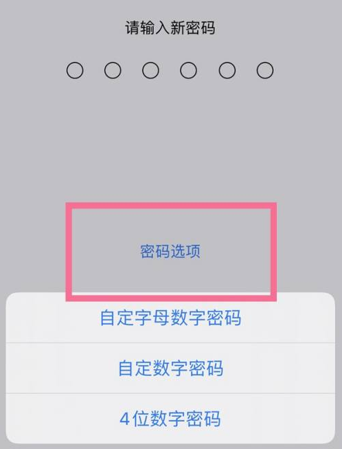 柳州苹果14维修分享iPhone 14plus设置密码的方法 