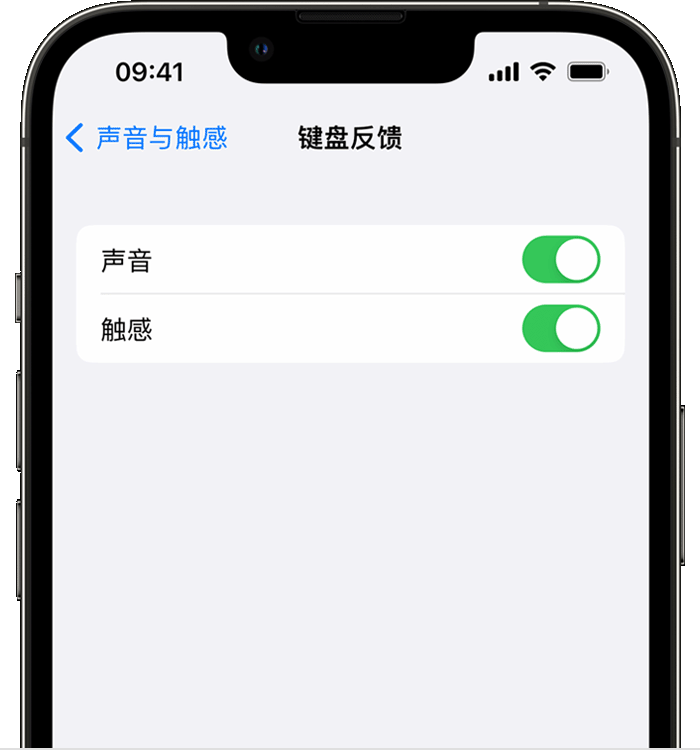 柳州苹果14维修分享iPhone 14 系列机型如何开启键盘声音或触感反馈 