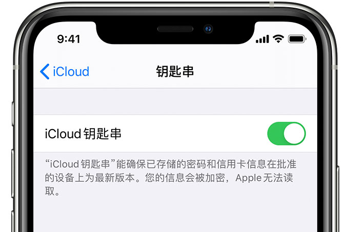 柳州苹果手机维修分享在 iPhone 上开启 iCloud 钥匙串之后会储存哪些信息 