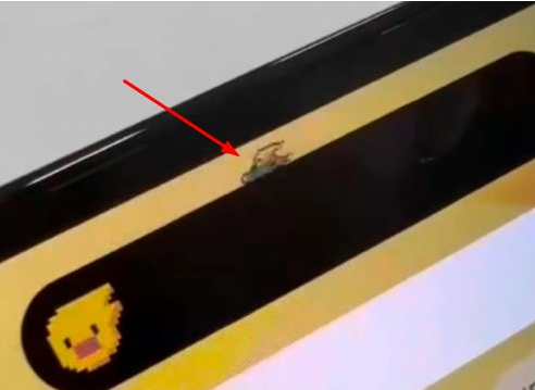 柳州苹果14维修分享iPhone 14 Pro Max灵动岛怎么养宠物 