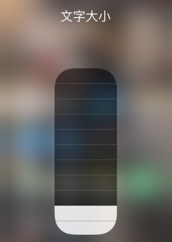 柳州苹果手机维修分享小技巧：在 iPhone 控制中心快速调节字体大小 
