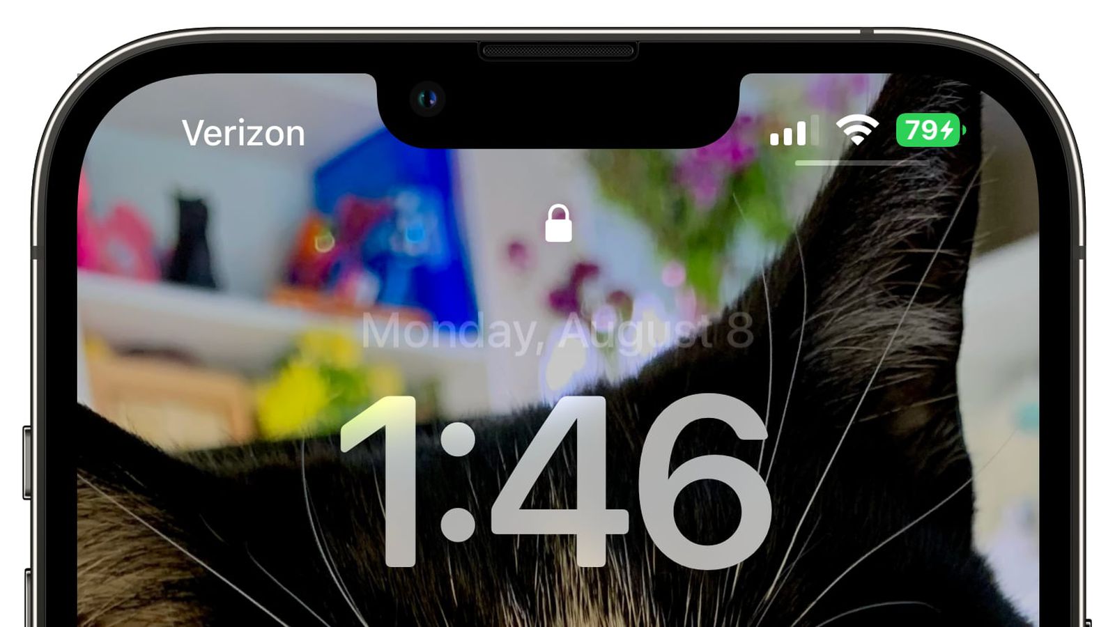 柳州苹果手机维修分享iOS 16 beta 5 支持状态栏显示电池百分比，如何开启？支持哪些机型 