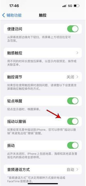 柳州苹果手机维修分享iPhone手机如何设置摇一摇删除文字 