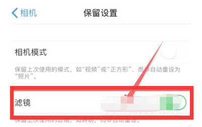 柳州苹果13维修分享iPhone13拍照有绿点是怎么回事 