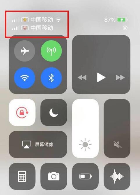 柳州苹果手机维修分享为 iPhone 12 双卡设置标签 